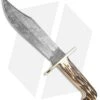 Bear And Son Damascus Bowie Fixed Blade India Stag Bone (7.5" Damascus) 500D3/4