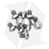 Flytanium Titanium Screws For Benchmade Bugout (Set Of 12)