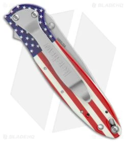 Kershaw Leek Assisted Opening Knife USA Flag (3" Bead Blast) 1660USA -Knives Store Kershaw Leek Assisted Opening Knife USA Flag Bead Blast BHQ 209736 kr side large