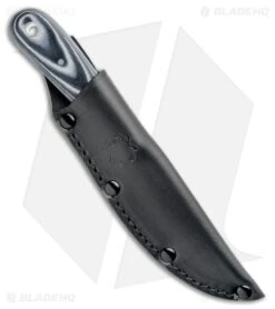 Spyderco Bow River Fixed Blade Knife Black/Gray G-10 (4.4" Satin) FB46GP 8 Spyderco Bow River Fixed Blade Knife Black/Gray G-10 (4.4" Satin) FB46GP -Knives Store Spyderco Bow River Black Gray G 10 Satin FB46GP BHQ 85407 jr sheath large