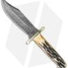 Bear And Son Damascus Baby Bowie India Stag Bone (3.5" Damascus) 500D1/2